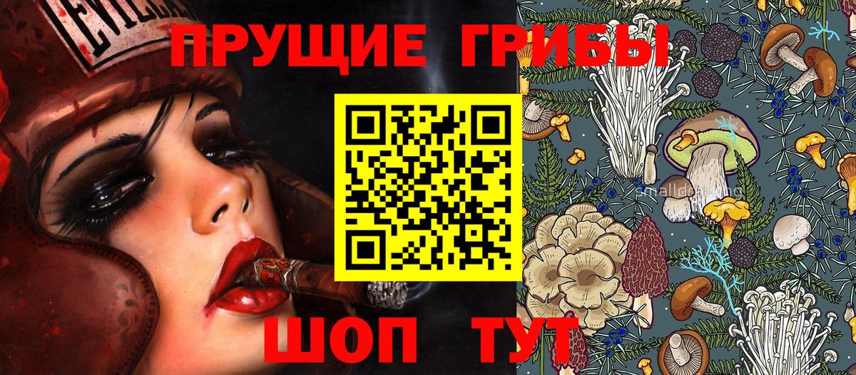Псилоцибиновые грибы Cubensis  Галлюциногенные грибы Magic Shrooms  Ижевск  Вход с VPN 